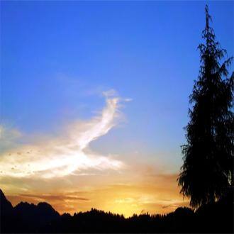 Stay In A Camping Ground In Rishikesh, Rishikesh 2